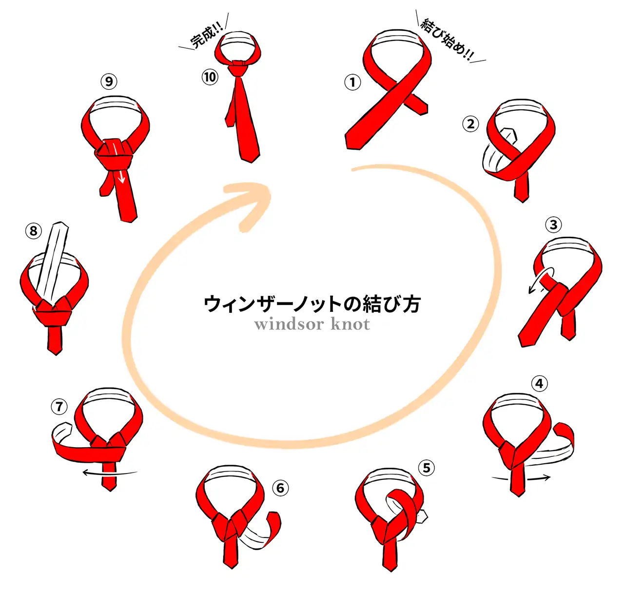 結び目が大きくなるため、結び目にボリューム感を出したいときに便利な結び方「ウィンザーノット（Windsor Knot）」です。