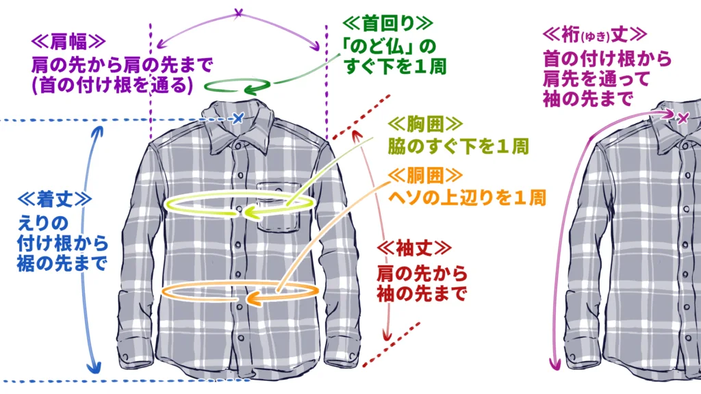 【ダサくないネルシャツを選ぶときのポイント01-a】ネルシャツの寸法要素は全部で７つ。01：首回りは、喉仏のすぐ下を１周測る。02：肩幅は、肩の先から方の先までを測る（このとき、襟の根元を通るようにして測る）。03：袖丈は、肩の先から袖の先までを測る。04：裄丈は、首の根元から肩の先を通って、袖の先までを測る。05：胸囲は、脇のすぐ下を１周測る。06：胴囲は、へその少し上あたり（腰の一番細い所）を測る。07：着丈は、襟の根元から裾の先まで、背骨に沿って測る。