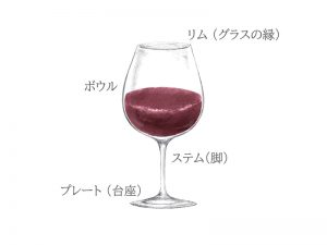 赤ワインの入ったグラス、グラスの部位の名称、リム（グラスの縁）、ボウル、ステム（脚）、プレート（台座）