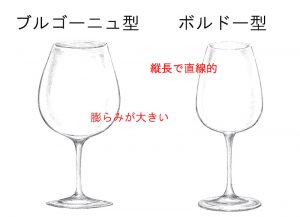 ブルゴーニュ型とボルドー型のワイングラスの比較図